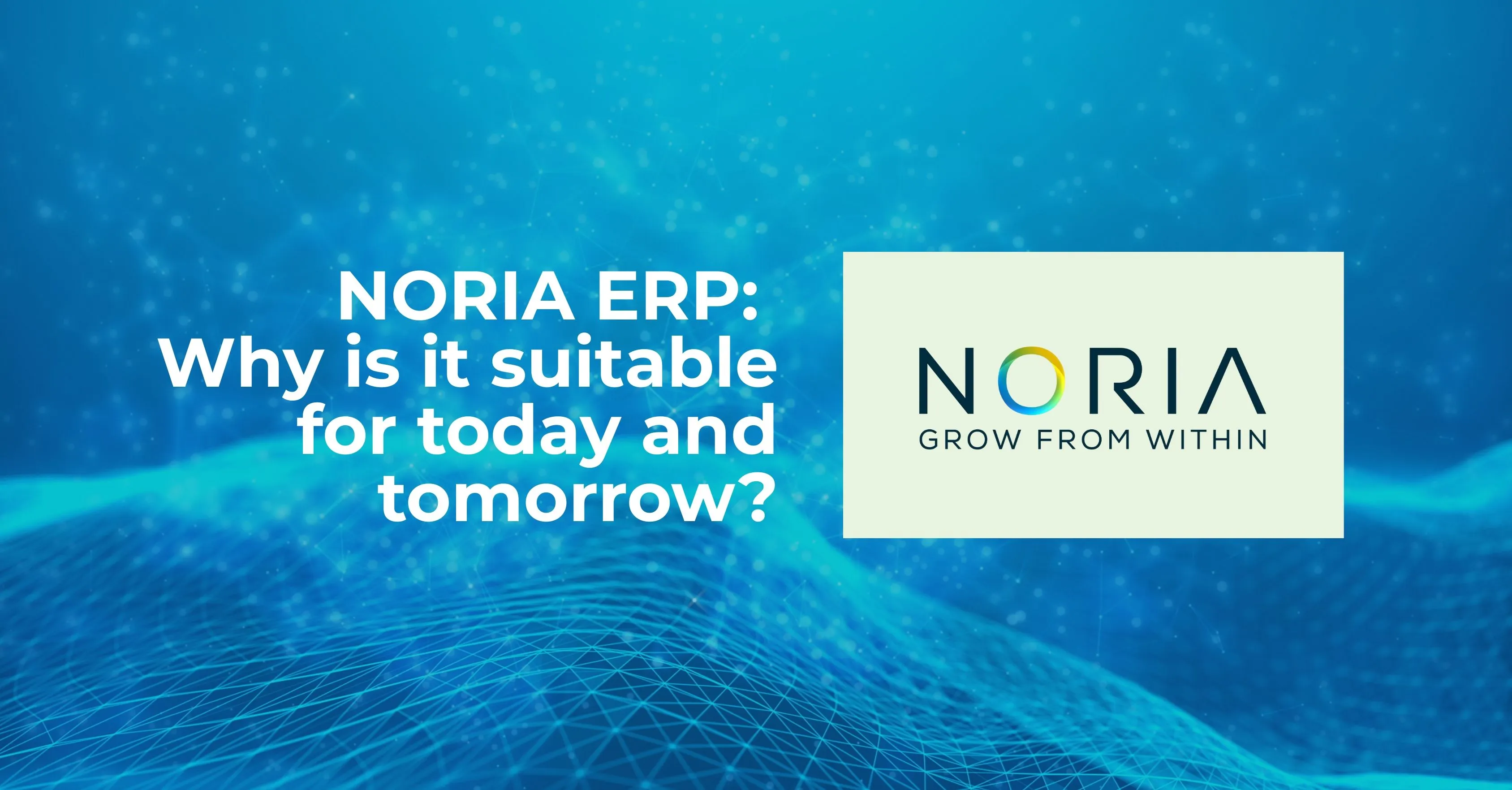 NORIA ERP Why is it suitable for today and tomorrow